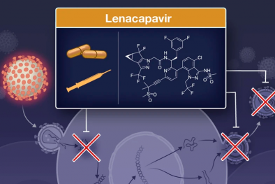 Thuốc lenacapavir kháng virus có hiệu quả 100% phòng ngừa lây nhiễm HIV